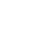 4g