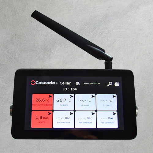 Cellar pulse intranet